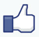 Like us on Facebook facebook like11