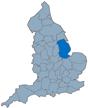 Email database of businesses in Lincoln