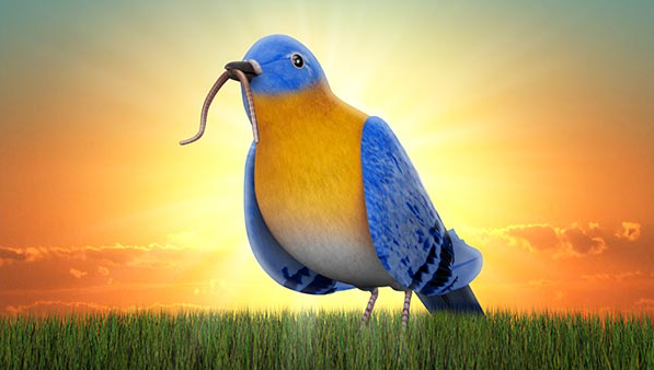 New Year Marketing Opportunities